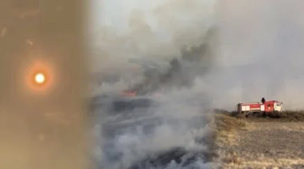 Оранжевое небо и смог: Караганду окутал густой дым от пожаров
