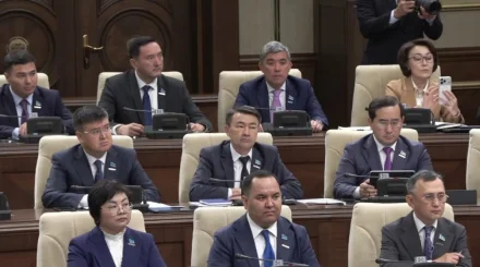   Құрылтай Регламентінің жобасы 31 тарау мен 310 тармақтан тұрады   