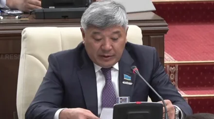 ТикТок, YouTube и Instagram: депутат заявил о высокой вовлеченности детей в соцсети