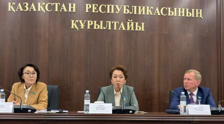 «Ескету алады, жалақыдан айырылады»: Депутаттар этика бұзса, қалай жазаланады? 