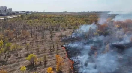 7 гектаров сухой травы горят в Караганде: что известно