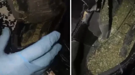 Наркотики в стельках пытались пронести в СИЗО Восточного Казахстана