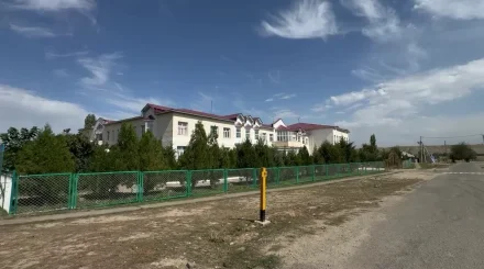 Жамбылдағы Қаратау ауылының тұрғындары  интернетке зәру
