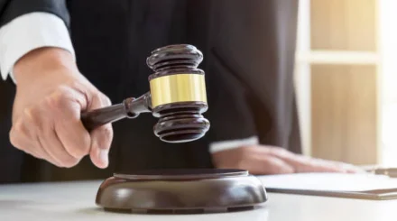  Ақмола облысында 150 жылқыны сатып жіберген жылқышыға үкім шықты 