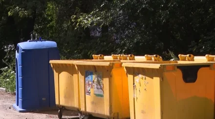 Платить больше, ждать меньше: что изменилось с вывозом мусора в ВКО