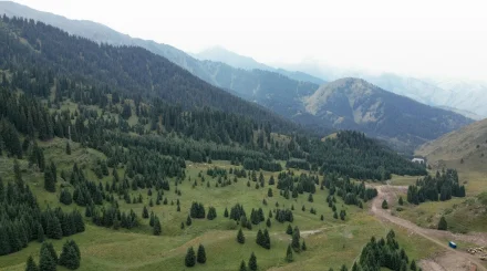 «Бұл ақпарат шындыққа сәйкес келмейді»: Kazakh Tourism Development видеоға түсініктеме берді