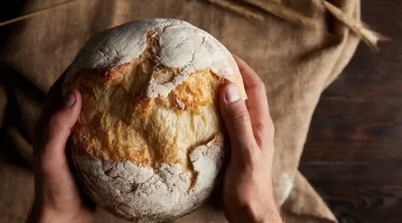 История хлеба: как простой продукт изменил рацион человечества
