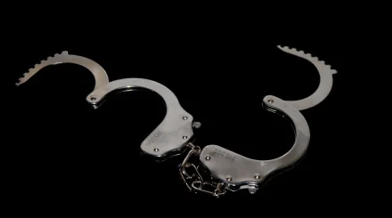 В Азербайджане за сутки полиция задержала 114 человек, находившихся в розыске