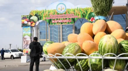 Астанада Қызылорда облысының жәрмеңкесі өтеді