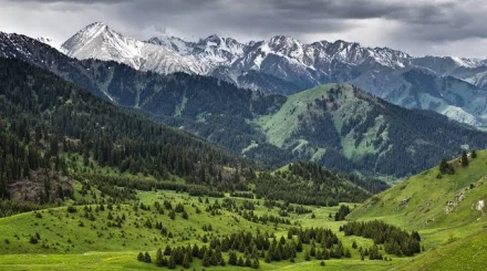 Көк Жайлау: тау туризмін дамытудың жаңа мүмкіндіктері