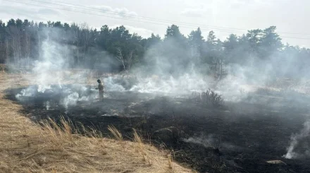 Более 5 га в огне: что произошло за сутки в Акмолинской области (ВИДЕО)