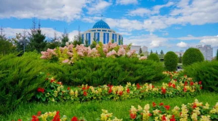Зеленый каркас будущего