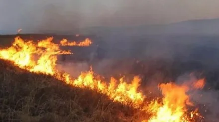 Қарағанды облысындағы дала өрті: ТЖД жүргізушілерге ескерту жасады 