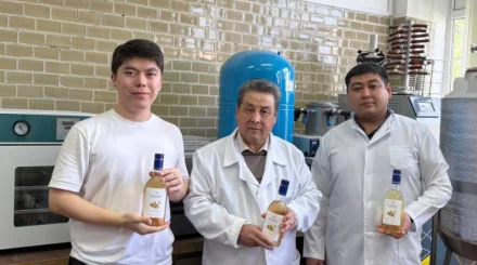  Қазақстандық ғалымдар адам ағзасына пайдалы жаңа сусын әзірледі 