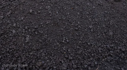 Актуальные цены на уголь назвали в Астане