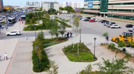   Жасыл желек көмкерген   