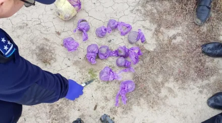   Ұлттық ұлан әскери қызметшісі күдікті заты бар дронды анықтады   