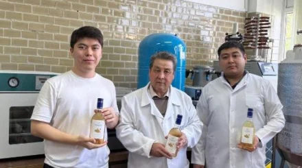   Қазақстанда бал мен зімбірден жаңа сусын әзірленді   