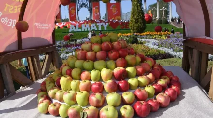 Alma Qala Fest: Алматыда өтетін ауқымды фестивальде 200 тонна алма ұсынылады