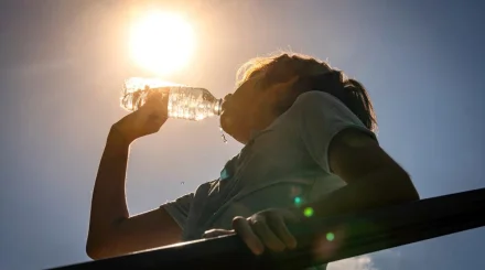 До +32 °C и солнечно: прогноз погоды в Шымкенте на 16 сентября