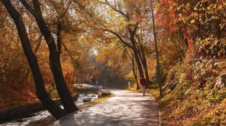 Оңтүстікте – күн жылы, солтүстікте – жаңбыр: алдағы үш күнге арналған ауа райы болжамы жарияланды