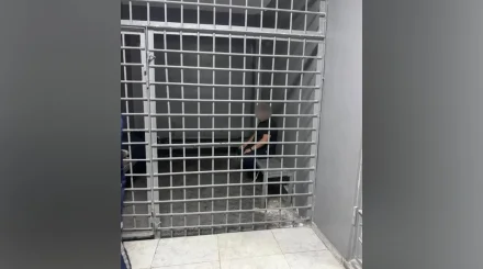 Алматыда прокурор жанжал шығарды деген айыппен қамауға алынғаны туралы ақпарат тарады