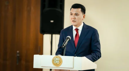 Вице-Президент Карин назвал три главных ориентира внутренней политики Казахстана