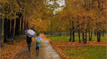 Жаңбыр, найзағай, жел: Қазақстанның бірнеше өңірінде ауа райына байланысты ескерту жасалды