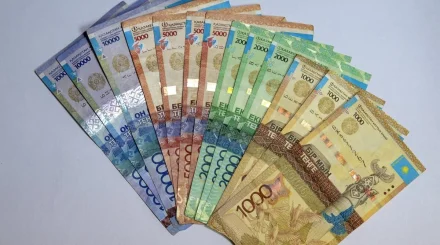 25 млн за гибель кормильца: в Актобе свекровь забрала компенсацию у вдовы и внуков