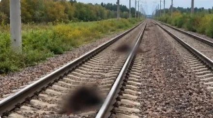 Ақмола облысында жолаушылар пойызы 13 бас малды қағып кетті