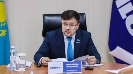 Кредит на 6 млн тенге и заложенный дом: казахстанка обратилась за помощью в партию «Әділет»