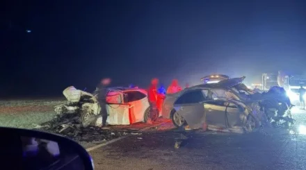 Toyota сбила верблюда и вылетела на встречку: погибли четверо