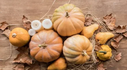 Осенний рацион: какие продукты добавить в меню в холодное время года