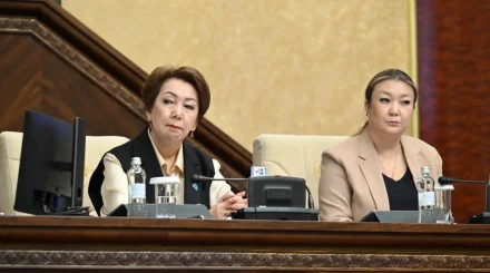 Келесі жылы бюджеттің шығысына 30,2 трлн теңге бөлінеді: вице-спикер оны қайта тексеру керек дейді