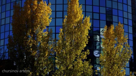 +32°С: Демалыс күндеріне арналған ауа райы болжамы жарияланды
