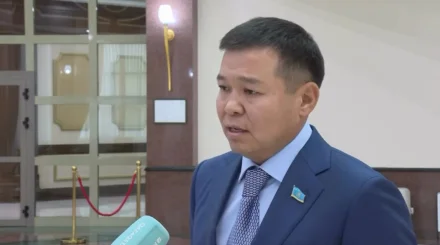  Депутат «Таза Қазақстан» бастамасын балаларға ерте жастан үйретудің себебін түсіндірді 