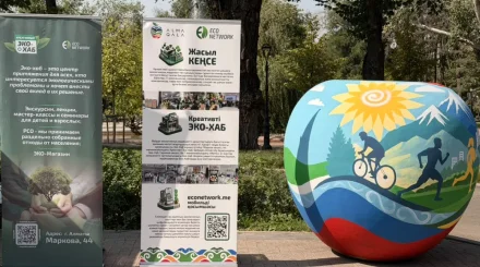 Ко Дню города на ул. Панфилова заработала праздничная эко-зона