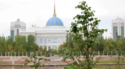 Елімізде «Таза Қазақстан» аясында 1,3 млн тал егілді