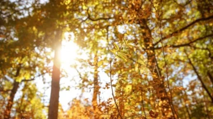 Қазақстанда 32 градусқа дейін күн жылынады