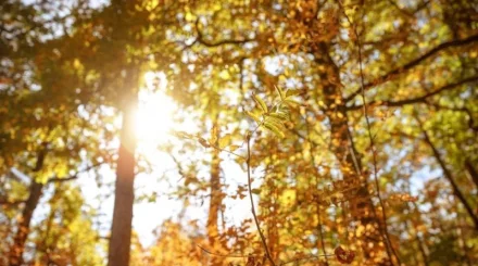Тепло до +32 °C: прогноз погоды по Казахстану на выходные