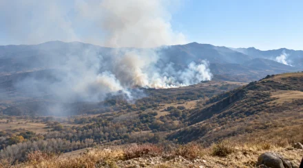 27 тонн воды сбросили с воздуха на пожар в Тарбагатайском нацпарке