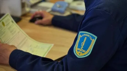 Более 1,3 тысячи нарушений выявили при ввозе агропродукции в Казахстан
