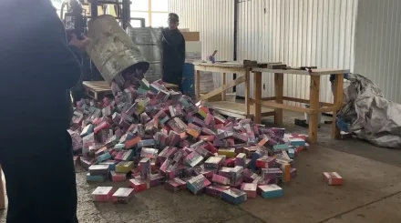 Қостанайда 28 мыңнан астам заңсыз вейп жойылды