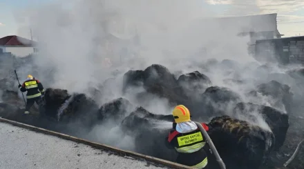 35 тонна шөп жанып кетті: Ақмола облысында екі өрт сөндірілді
