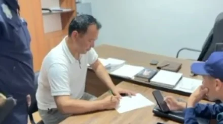 В Кызылординской области мужчину оштрафовали за жестокое обращение с кошкой