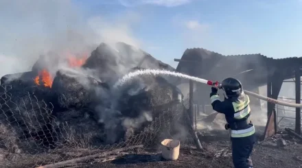 155 тонн сена сгорело в ВКО