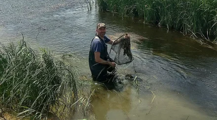 Связь двух морей: новые виды рыб раскрыли тайну Черного и Каспийского морей