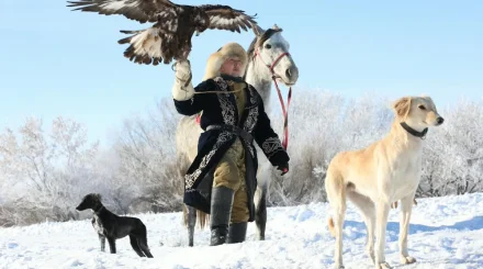 Жеті қазына Нурдаулета