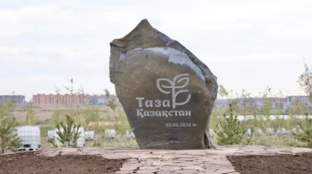Будущее пустило корни