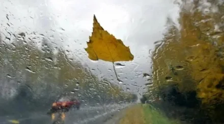Жаңбыр, найзағай және алғашқы үсік: елде ауа райы күрт бұзылады: